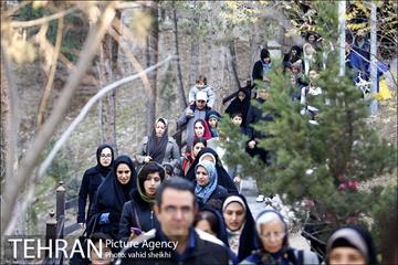 همایش بزرگ پیاده روی خانوادگی شهرداری تهران  13