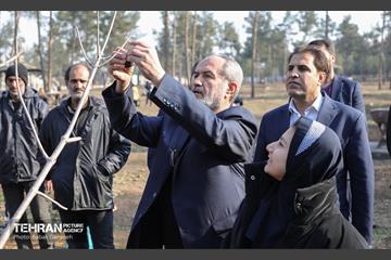 آیین کاشت ۱۰۰۰ نهال به مناسبت میلاد با سعادت حضرت علی (ع) 11