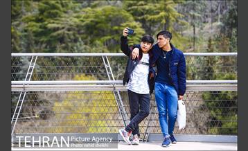 پل طبیعت در تعطیلات نوروز 18