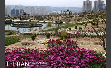 باغ گل لاله های ایرانی در بوستان آبشار تهران‎ 29