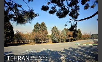 پارک جنگلی سرخه حصار 16