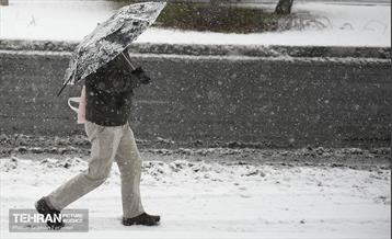 روز برفی تهران / سبحان فرج ون