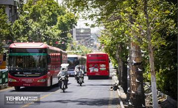 جان دوباره در درختستان 13