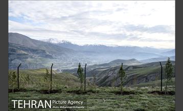 بازدید از پروژه جنگل کاری 1250 هکتاری 26