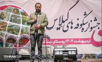 دومین جشنواره شکوفه‌های گیلاس 4