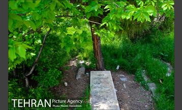 گورستان ده ونک 26