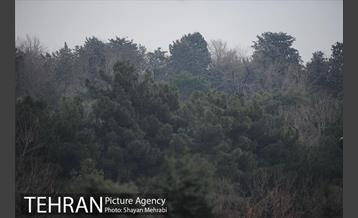 تهران همچنان آلوده است 11