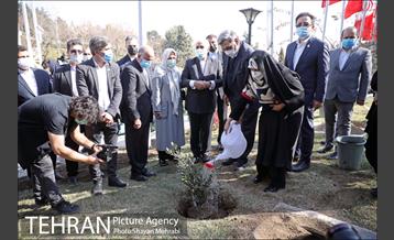 آیین کاشت نهال دوستی با حضور همسران دیپلمات مقیم ایران 22