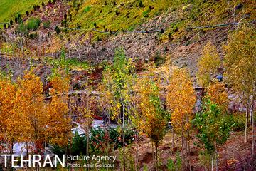 پاییز رنگ به رنگ در بوستان کوهستانی آبشار تهران‎ 2