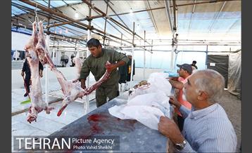 بازدید سعید راد از مراکز عرضه دام  27