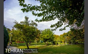 پاییز بوستان لاله 19