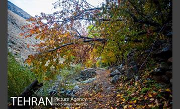 طبیعت پاییزی روستای سنگان 26