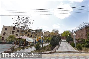 روز طبیعت متفاوت در شهر تهران 2 12