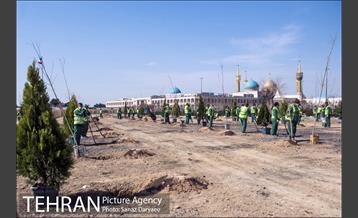 آیین کاشت "درخت ایثار" 28