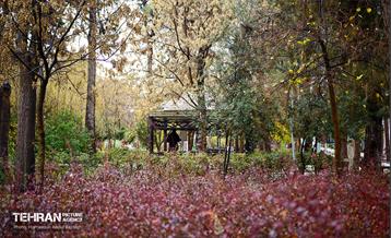 یک روز پاییزی در منطقه ۱۴