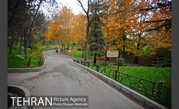 پاییز در بوستان ملت 13