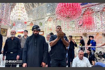 حرم مطهر امام علی (ع) در آستانه اربعین حسینی 32