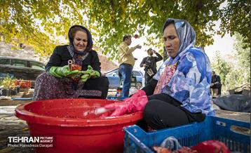 یـاقوت سرخ  28