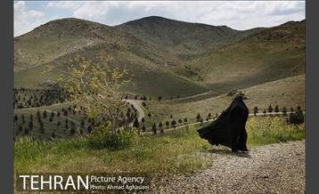 بوستان جنگلی سرخه حصار 2