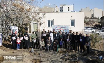 آیین کاشت 1310 نهال در منطقه 5 5