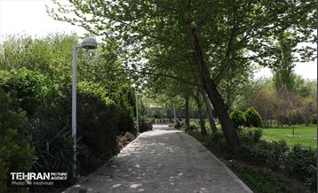 بوستان بانوان نرگس 41