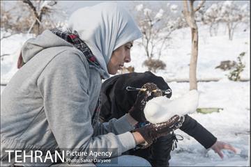 جشنواره مجسمه های برفی 2