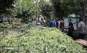 اولین میدانگاه محیط زیستی شهر تهران 6