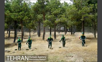 علف زنی بوستانهای تهران برای مقابله با آتش سوزی 24