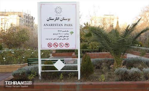 هشتادوششمین رویداد امیدوافتخار 42