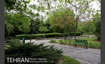 بوستان آزادگان 24