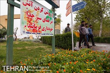 روز طبیعت بارانی در بوستان رازی 13