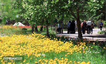 طبیعت بهاری در باغ ملی گیاهشناسی ایران 17