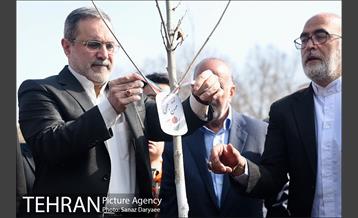 آیین درختکاری با حضور دکتر بطحایی وزیر محترم آموزش و پرورش 17