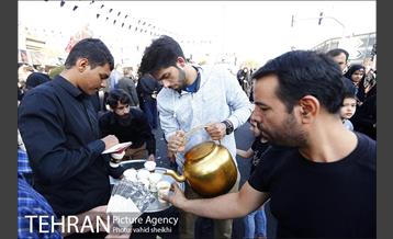 پیاده روی جامندگان اربعین حسینی (ع) در تهران 19
