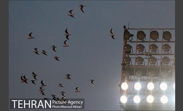 دیدار تیم‌ های فوتبال استقلال تهران و استقلال خوزستان