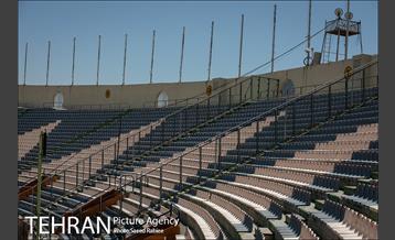 غوغای سکوت در آزادی 24