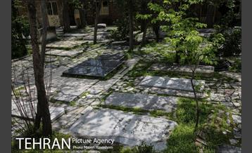 گورستان ظهیرالدوله 14