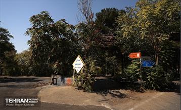 بازدید اصحاب رسانه از روند انجام عملیات احیای چیتگر 25