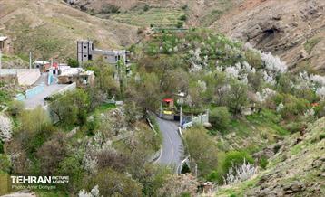 هوای بهاری منطقه 22 6