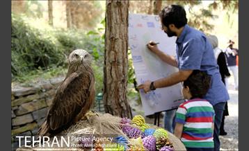 افتتاح اولین "باغچه خبر" در تهران 8
