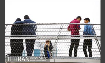 پل طبیعت در تعطیلات نوروز 12