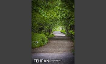 باغ گیاه‌شناسی ملی ایران 22