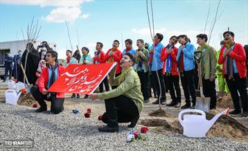 نهال کاری شهردار تهران و رئیس جمهور به مناسبت روز درختکاری 11