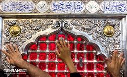 حرم مطهر امام علی (ع) در آستانه اربعین حسینی 14