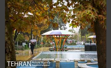 حال و هوای بارانی میدان هفت حوض  3