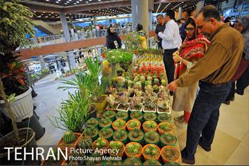 شانزدهمین نمایشگاه بین المللی گل و گیاه تهران - 2 41