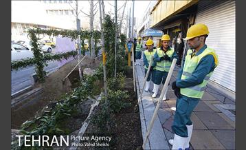 مراسم کاشت درخت در خیابان ولیعصر  4