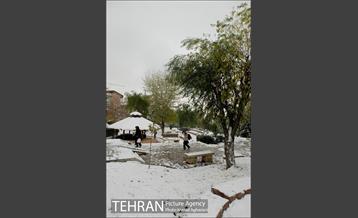 بارش نخستین برف پاییزی تهران 23