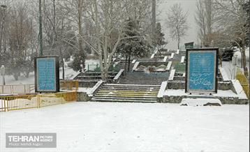 بارش برف زمستانی در منطقه ۲ 28