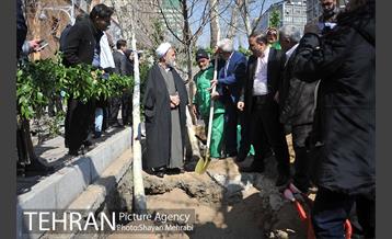 احیای درختان خیابان  ولیعصر( عج) با حضور شهردار تهران  36